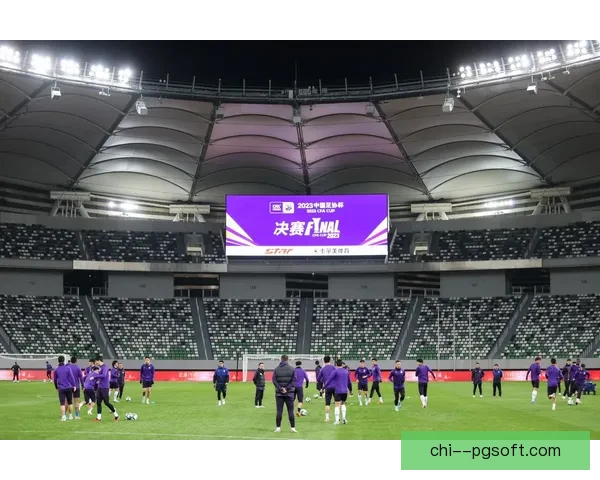 上海申花勇夺2024赛季足协杯冠军彰显球队新辉煌